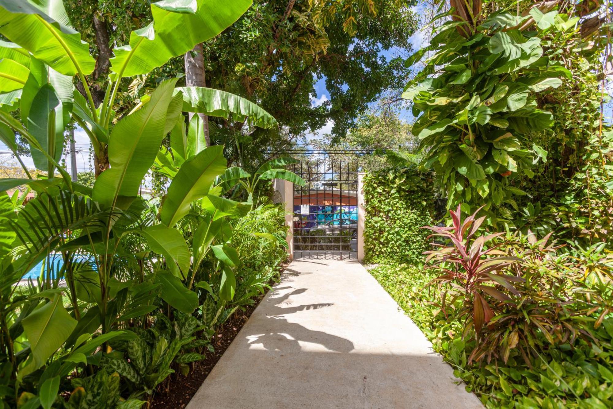 Via Tendenza Condos Playa del Carmen Exterior photo